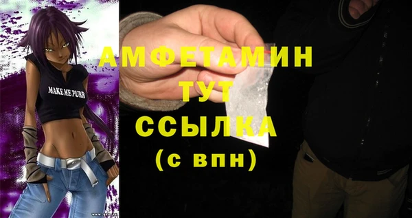 твердый Бородино