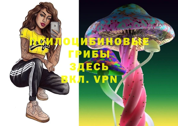 крисы Белокуриха
