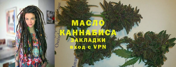 твердый Бородино