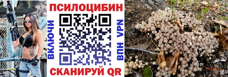 Галлюциногенные грибы Cubensis  Изобильный 